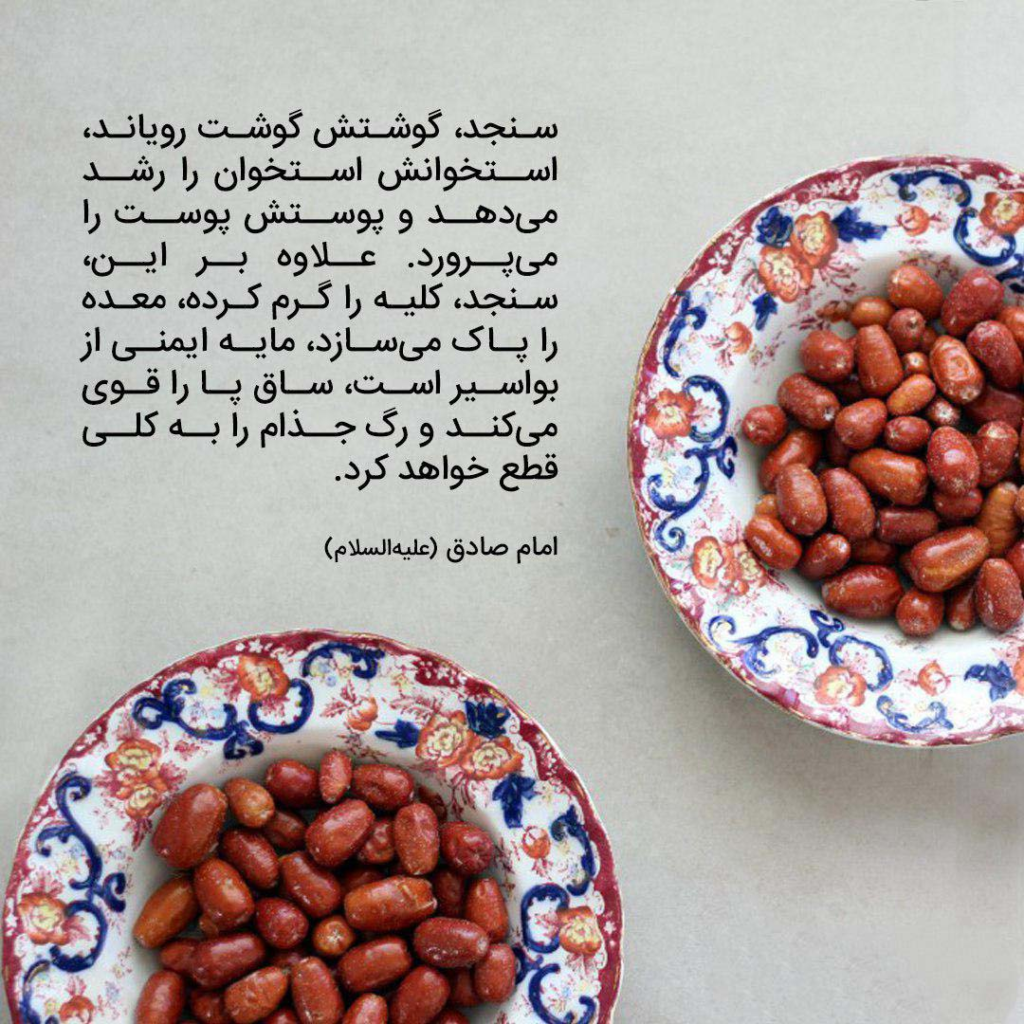 معرفی سنجد و خواص آن در سلامتی در پامیشا