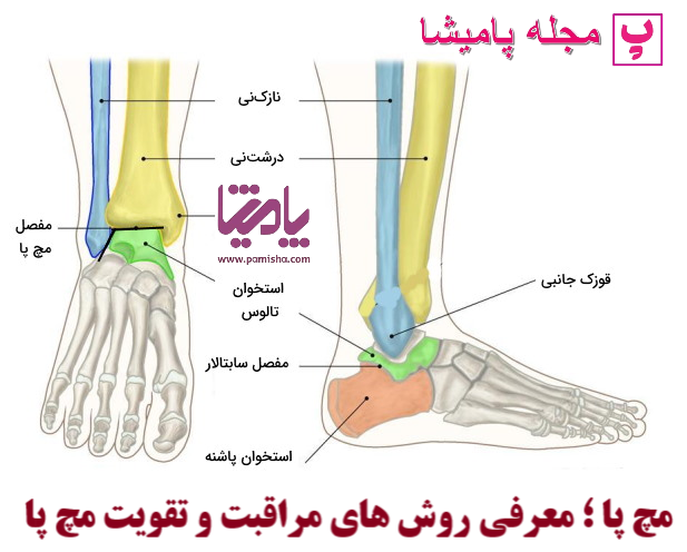 مچ پا ؛ معرفی روش های مراقبت و تقویت مچ پا در پامیشا