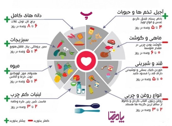 چگونه وزن کم کنیم؟ پامیشا