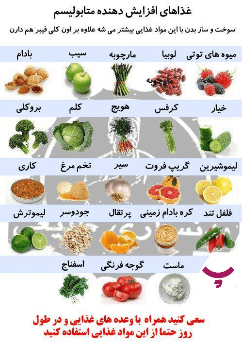 بدنسازی با مواد عذایی پروتئین دار در پامیشا