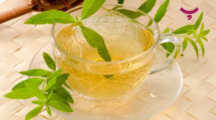 دمنوش به لیمو ؛ برای چی خوبه! پامیشا