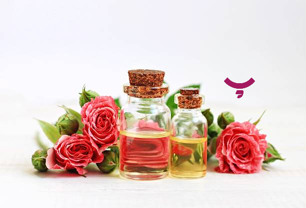 فواید گلاب و خواص گل محمّدی در پامیشا