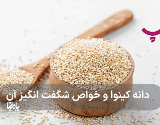 قیمت کینوا و بررسی خواص کینوا در پامیشا