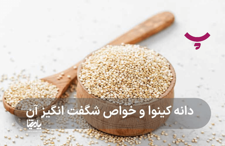 قیمت کینوا و بررسی خواص کینوا در پامیشا