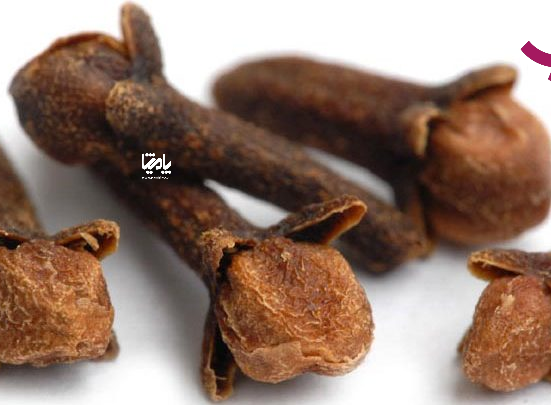 فواید میخک و روش استفاده در پامیشا