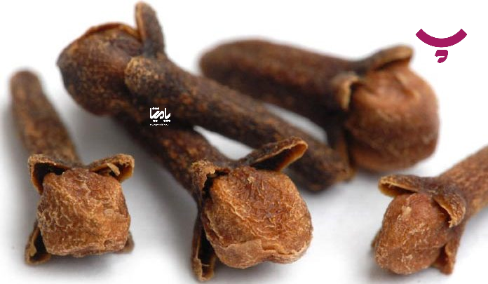 فواید میخک و روش استفاده در پامیشا
