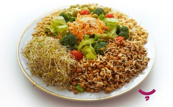 جوانه گندم پامیشا