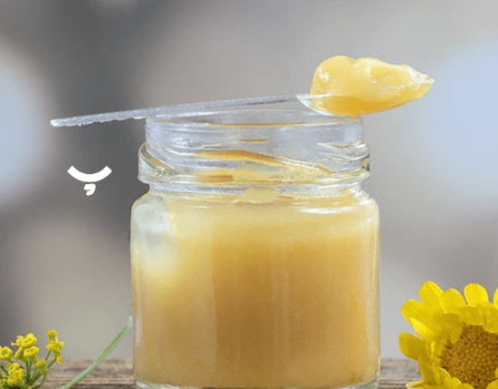 ژل رویال در پامیشا