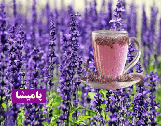 دمنوش اسطوخودوس برای آرامش ذهن – منبع طبیعی ضد استرس