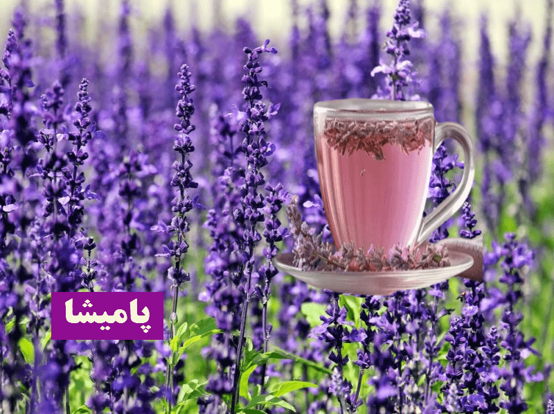 دمنوش اسطوخودوس برای آرامش ذهن – منبع طبیعی ضد استرس