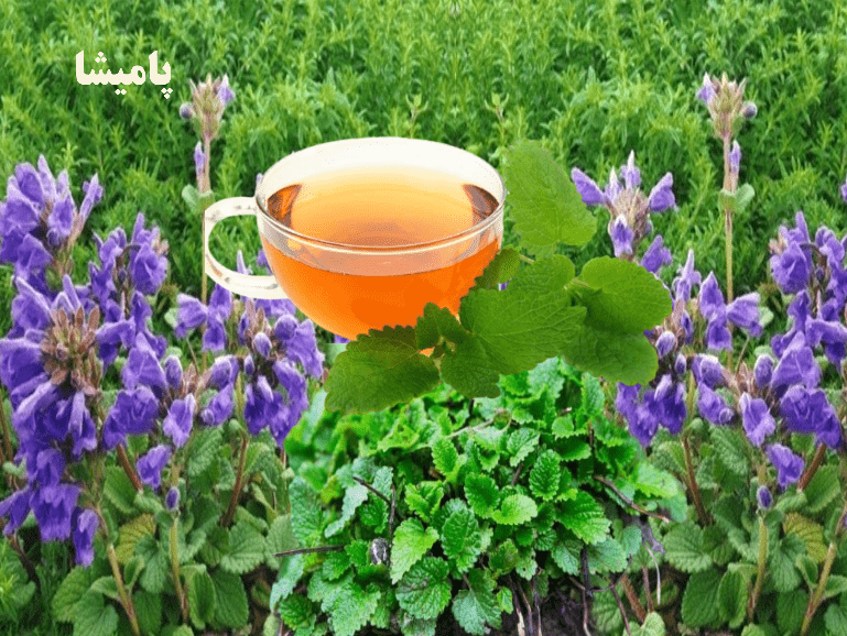 بادرنجبویه و دمنوش ضد استرس – راهنمای طبیعی برای سلامت عصبی