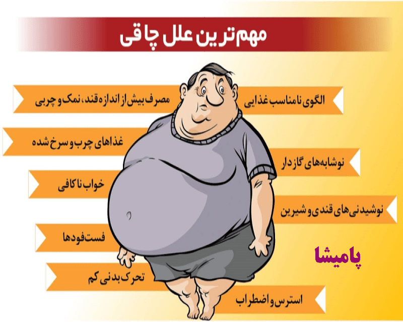 "نمودار دلایل عمده چاقی معده شامل استرس، خواب، رژیم غذایی و عدم حرکت"