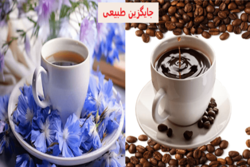مقایسه کاسنی و قهوه با برچسب "جایگزین طبیعی"