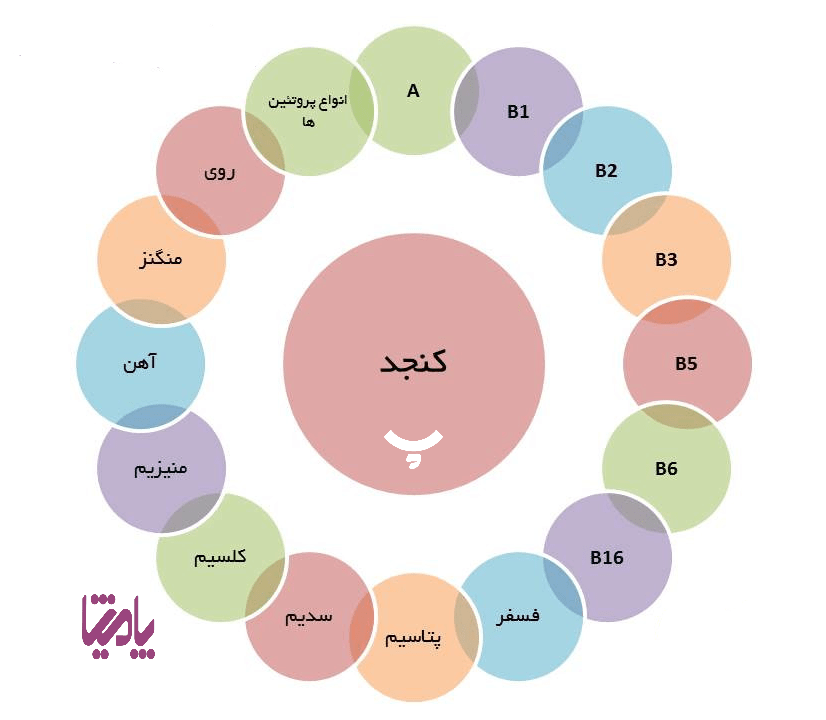 ترکیبات کنجد پامیشا