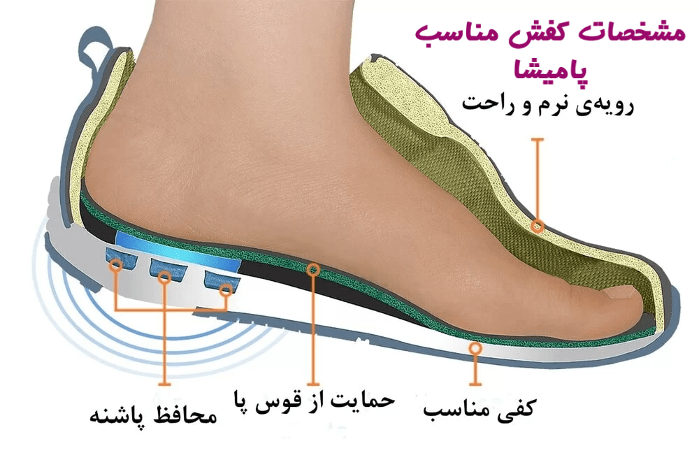 مشخصات کفش کناسب پامیشا