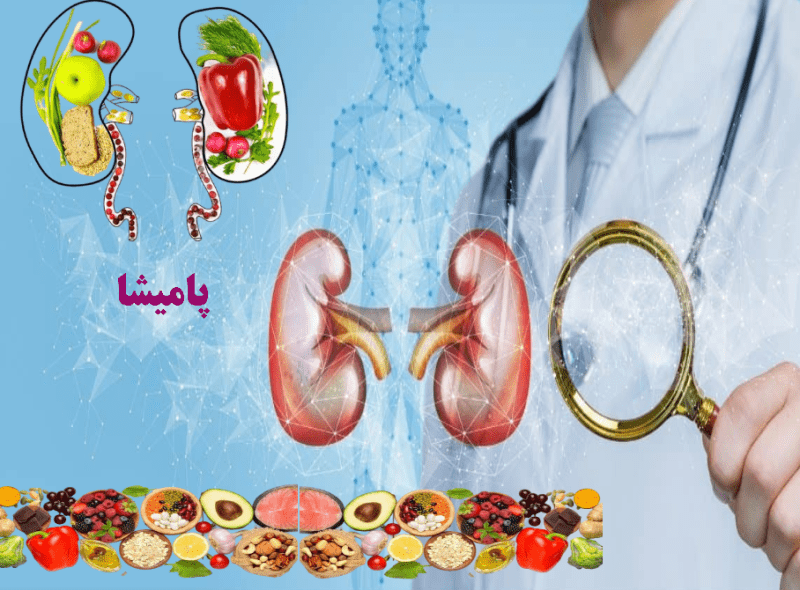 "۱۰ خوردنی طبیعی برای تقویت کلیه – سلامت کلیه با مواد غذایی مفید"
