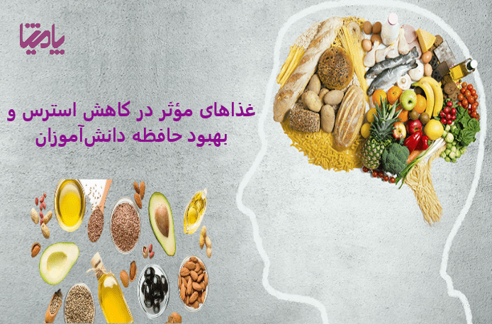 غذاهای مؤثر در کاهش استرس و بهبود حافظه دانش‌آموزان

