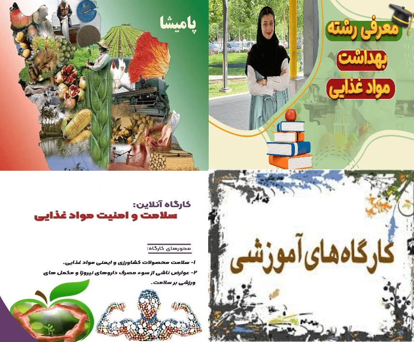 کارگاه آموزشی درباره بهداشت غذایی در محیط دانشجویی