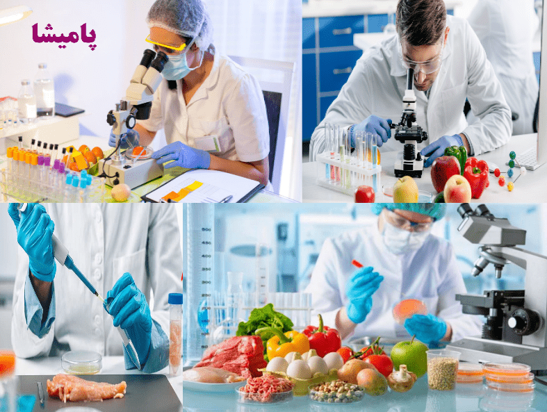 بازرسی از کیفیت مواد غذایی در آزمایشگاه استاندارد