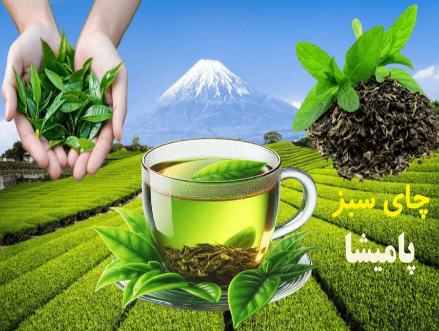 چای سبز | ۸ راز طلایی برای کاهش وزن، جوان‌مانی و سلامت قلب — در پامیشا